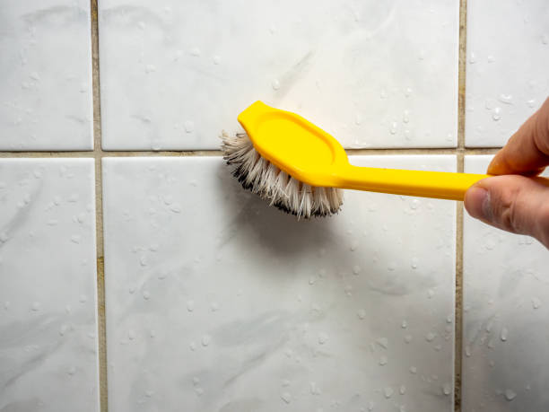 Best Black Mold Removal  in Coldwater, MI