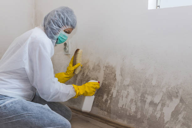 Water Damage Restoration in Coldwater, MI