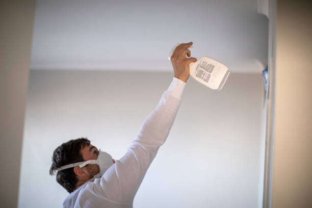 Best Crawl Space Mold Removal  in Coldwater, MI
